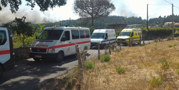 Apoio às Vítimas dos Incêndios