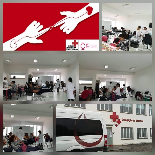 Recolha de Sangue