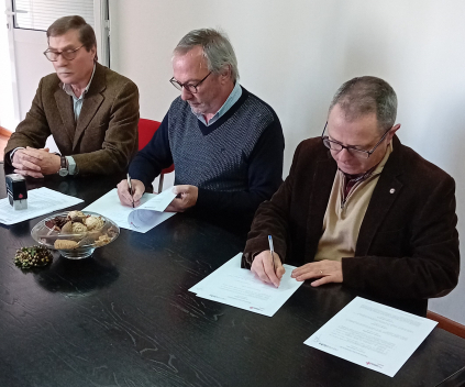 Protocolo de colaboração com a NovaVisão Óptica